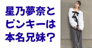 星乃夢奈とピンキーは本名兄妹？
