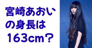 宮崎あおいの身長は163cm？